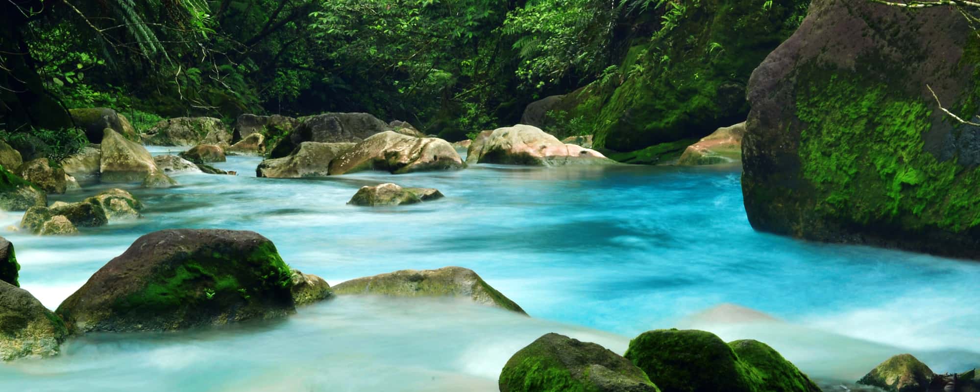 Hotels Tenorio Volcano/Rio Celeste, Northern Costa Rica,