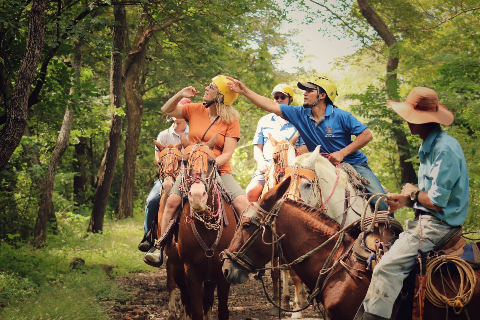 Elevated Experience: A Day In The Life of a Costa Rican Cowboy, or Sabanero  - Costa Rican Trails