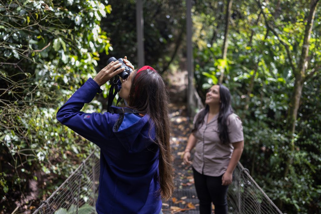 Woman birdwatching in the rainforest